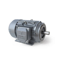 Load image into Gallery viewer, Tech Top GRC0406F-TC - 40 HP - 575 V - 1200 RPM - Three phase