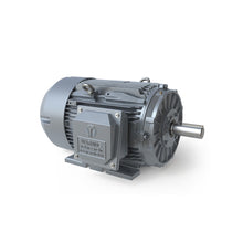 Load image into Gallery viewer, Tech Top GRC0502F - 50 HP - 575 V - 3600 RPM - Three phase