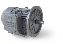 Load image into Gallery viewer, GRC0002D-TD 1.00 HP, 3600 RPM, 3 Phase, 230/460V, 143TD Rigid/D-Flange, TEFC