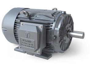 GRC0202D  20  HP, 3600 RPM, 3 Phase, 230/460V, 256T Rigid, TEFC