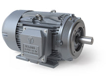 Load image into Gallery viewer, GRC0252DS-TC  25 HP, 3600 RPM, 3 Phase, 230/460V, 256TC Rigid/C-Flange, TEFC