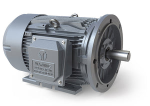 GRC0302D-TD 30  HP, 3600 RPM, 3 Phase, 230/460V, 286TSD Rigid/D-Flange, TEFC