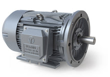 Load image into Gallery viewer, GRC0506F-TD TECH TOP  50  HP, 1200 RPM, 3 Phase, 575V, 365TD Rigid/D-Flange, TEFC