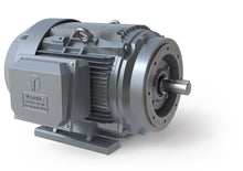 Load image into Gallery viewer, GRC0606F-TC TECH TOP 60.  HP, 1200 RPM, 3 Phase, 575V, 404TC Rigid/C-Flange, TEFC