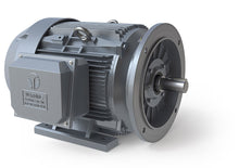 Load image into Gallery viewer, GRC0602D-TD TECH TOP 60 HP, 3600 RPM, 3 Phase, 230/460V, 364TSD Rigid/D-Flange, TEFC